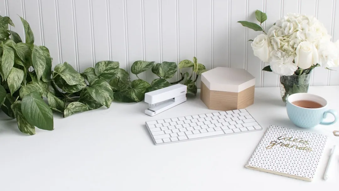 日用百货批发供应链数字化升级对贸易服务效率的影响分析